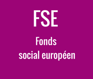 FSE, Fonds social européen